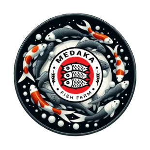 Medaka Fish Eggs