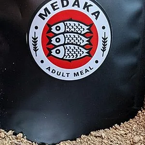 Medaka Food - Adult Meal