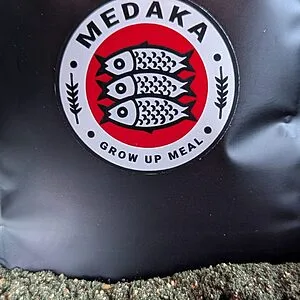Medaka Food - Grow Up Meal